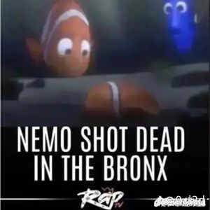 Meet your Posher, Dixie